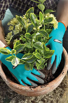 Перчатки Gardena для работы с почвой (10/XL)